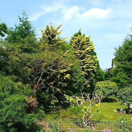 Tatil Evi Fairhaven Bowness-on-Windermere